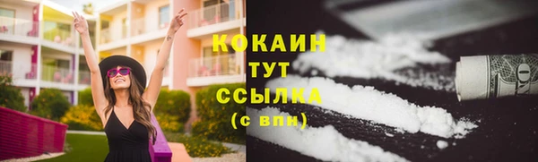 крисы Белокуриха