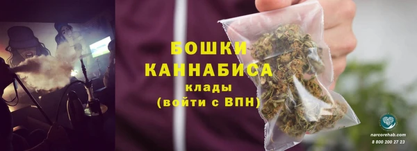 крисы Белокуриха