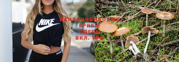 меф Беломорск