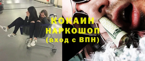 крисы Белокуриха