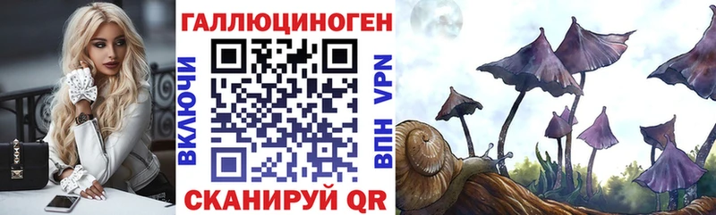 Псилоцибиновые грибы Cubensis  кракен как войти  Хотьково 